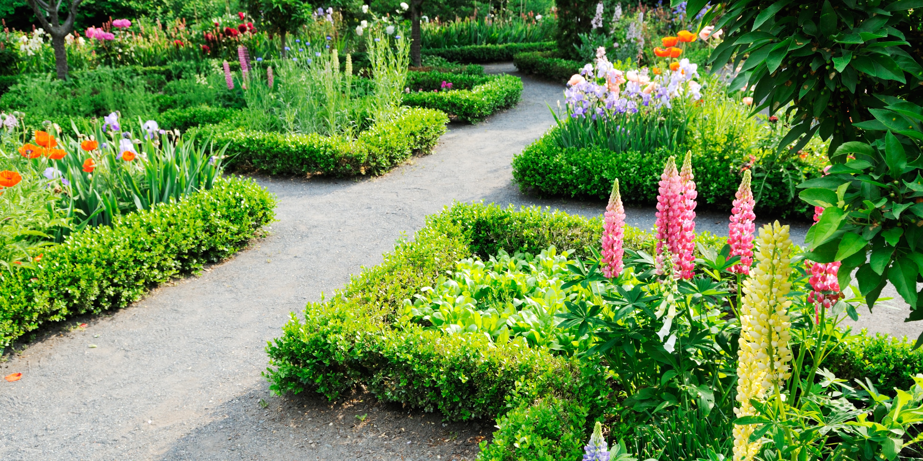 allee jardin gravier