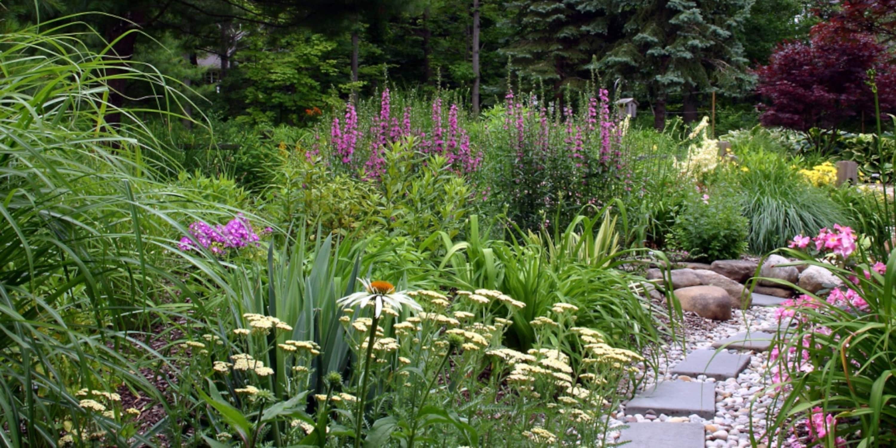 allee jardin pas japonais